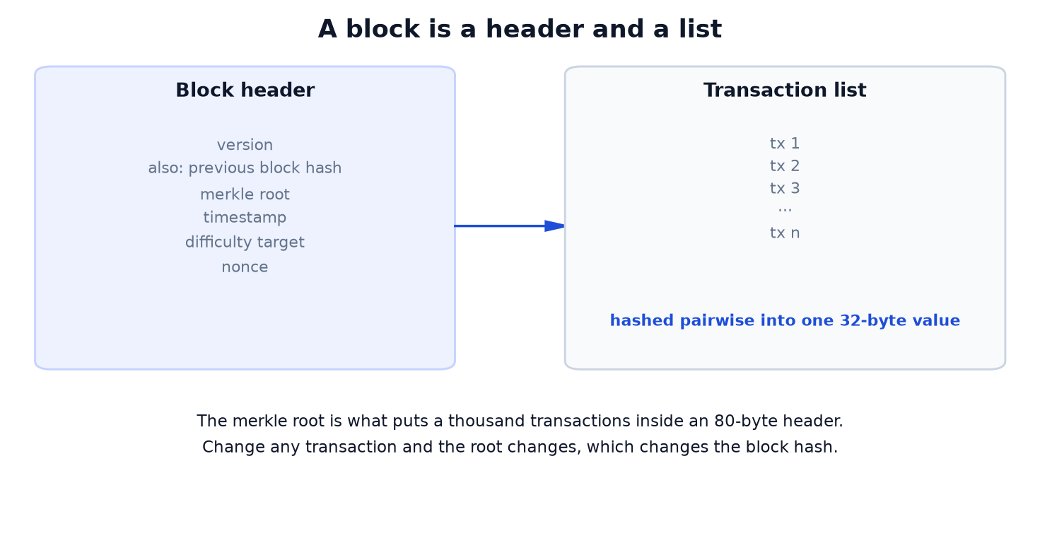 What Is a Blockchain? It Is a Chain of Hashes, Not a Chain of Blocks.