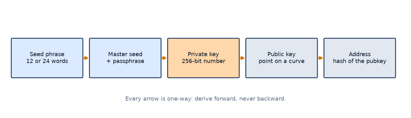 What Is a Private Key? A Seed Phrase Is Not a Password, and Losing It Is Not a Reset.