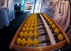 What Is Market Capitalisation in Crypto? Two Denominators, Two Stories